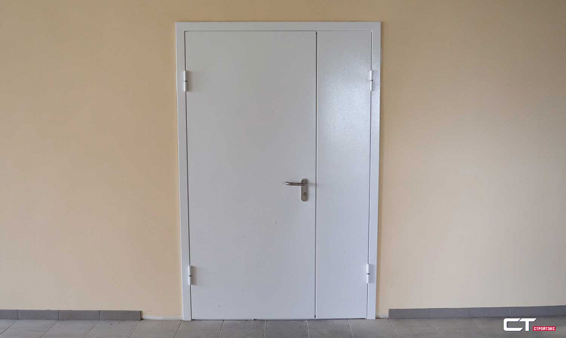 Дверь противопожарная металлическая EIS60 двупольная глухая 1200х2100